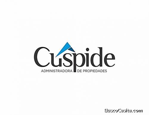 Cuspide AP