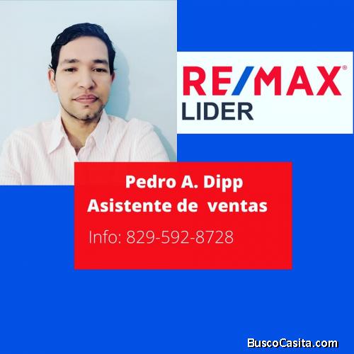 Pedro Dipp