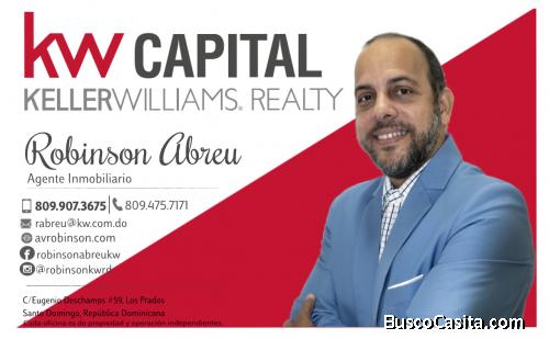 Robinson Abreu